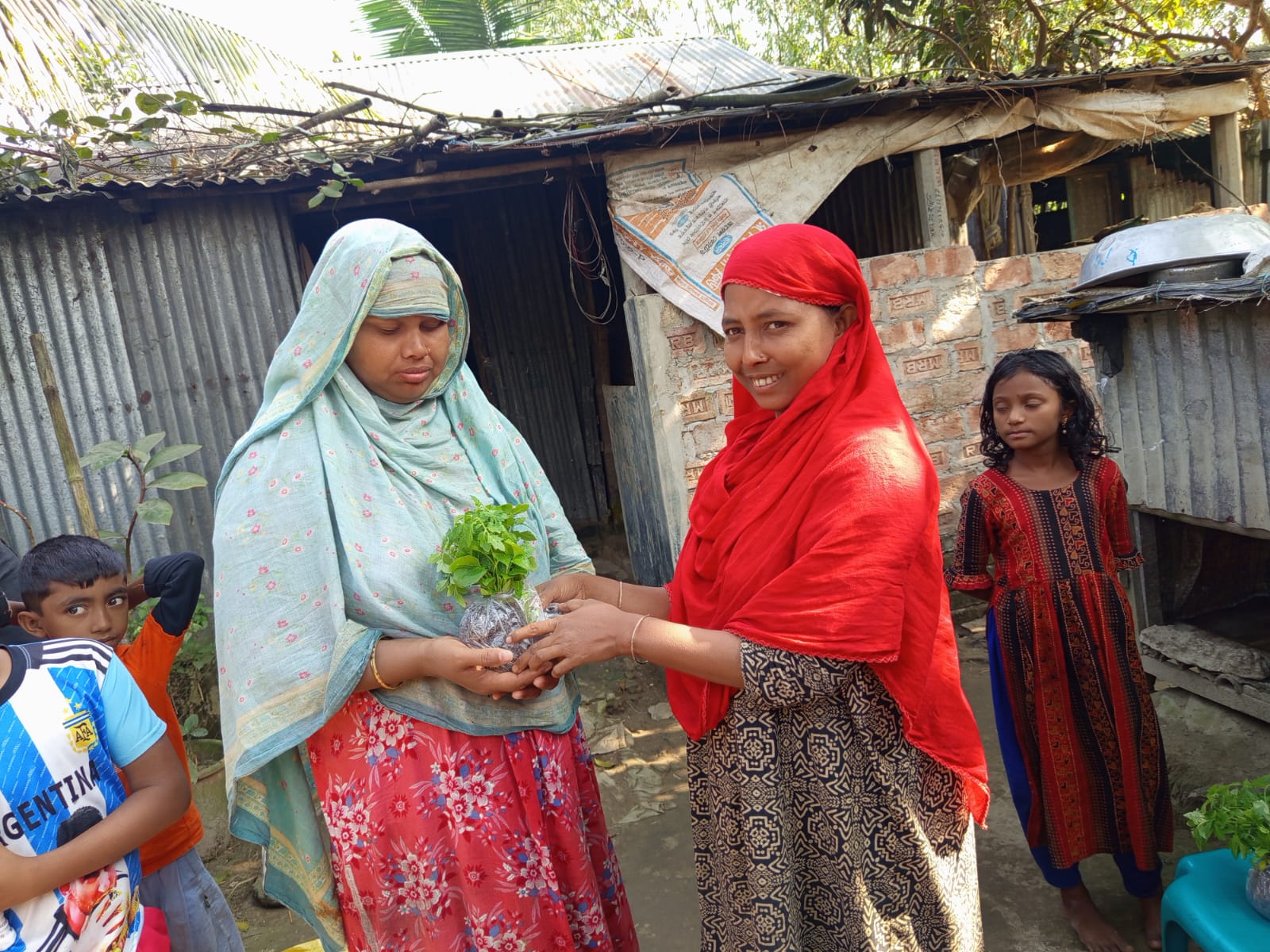 Kitchen Garden image 3