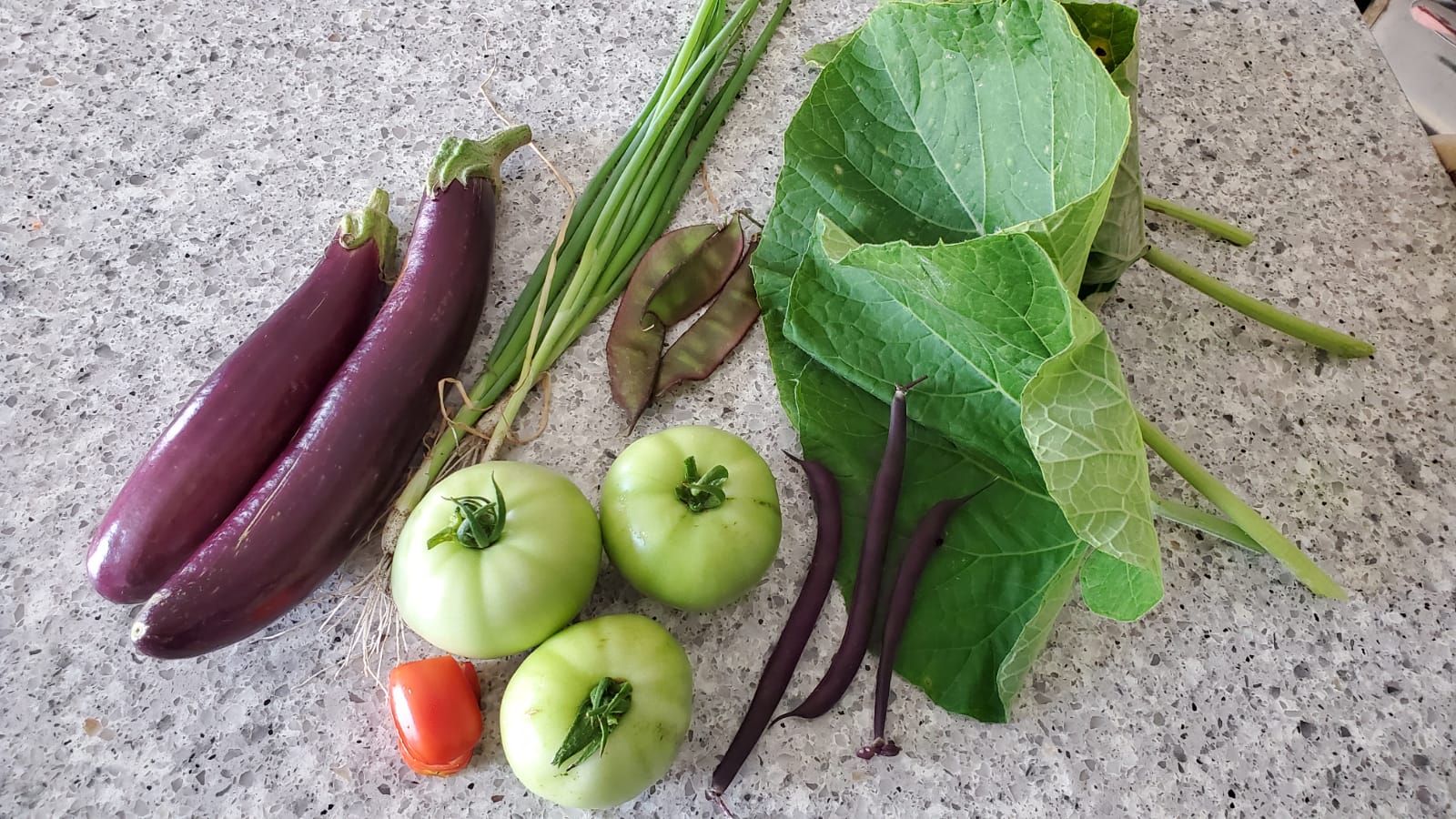 Kitchen Garden image 1