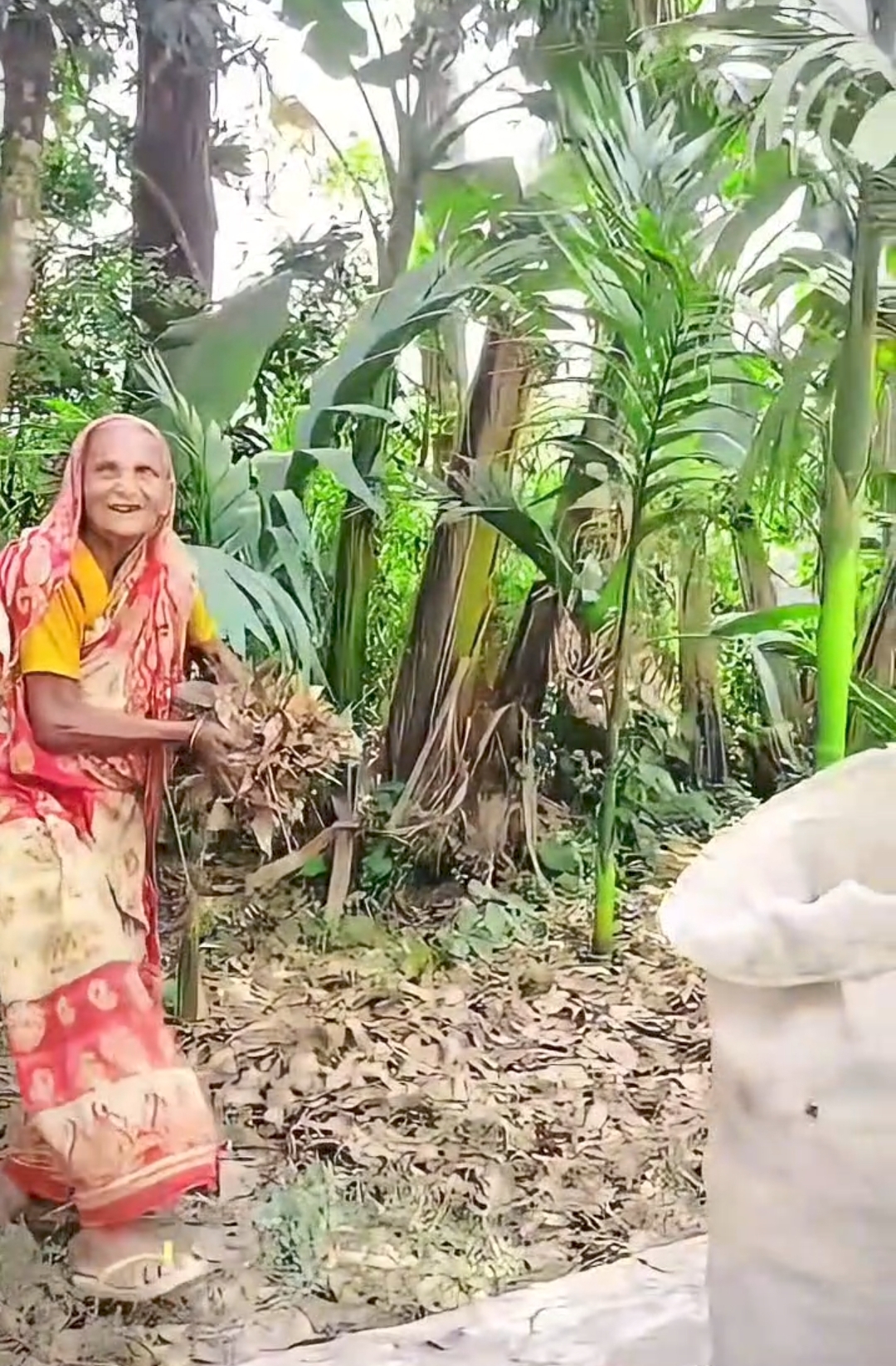 Elderly Support image 3